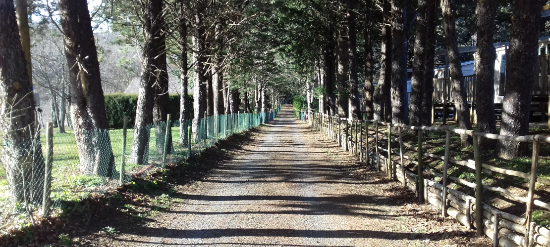 Chemin de Stevenson au camping